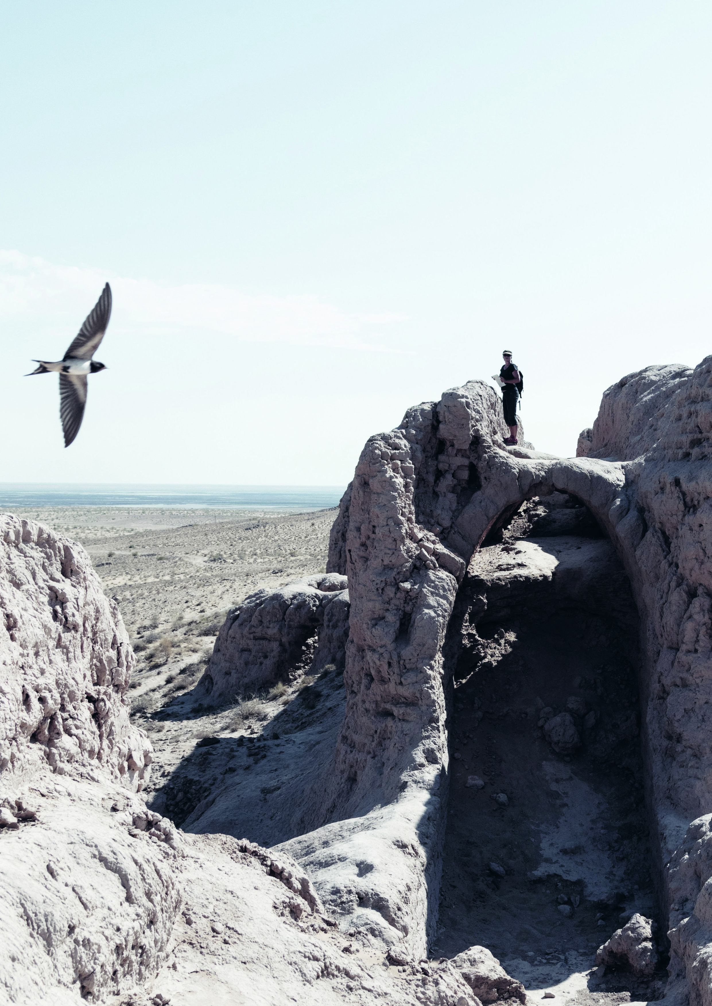 Nature nomade